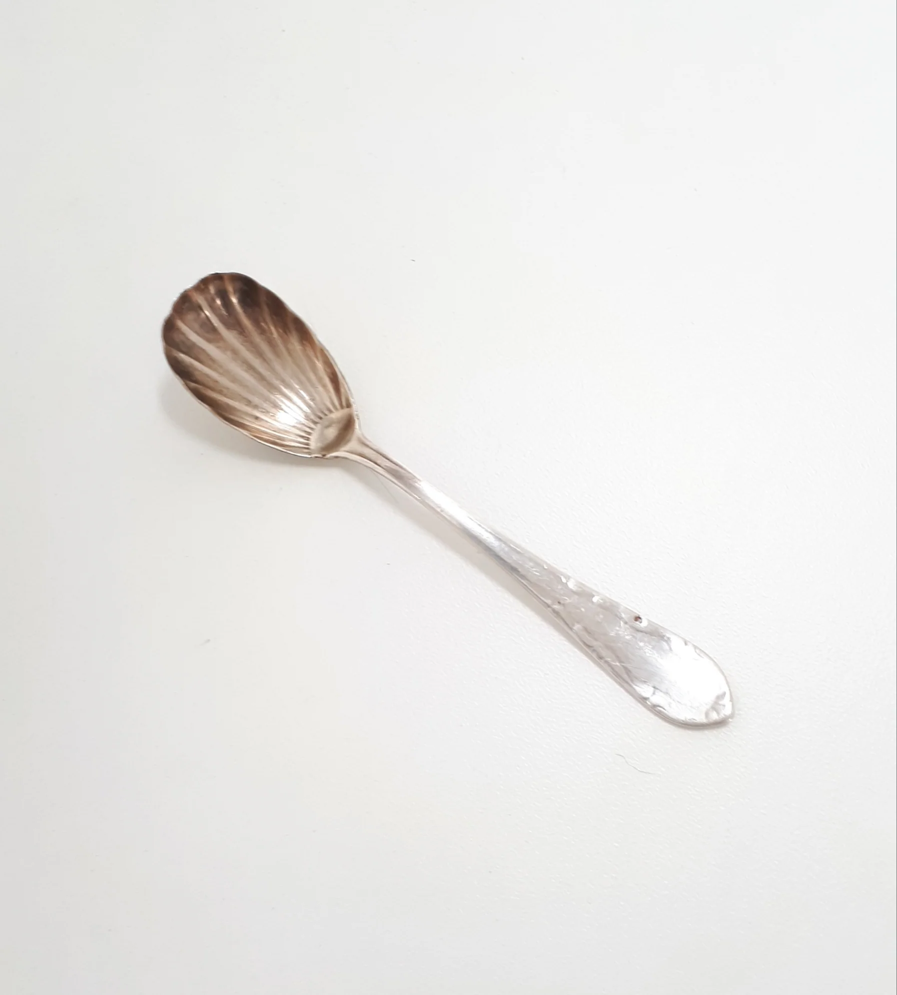 Antique Shell Shaped Sugar Spoon - Image 2