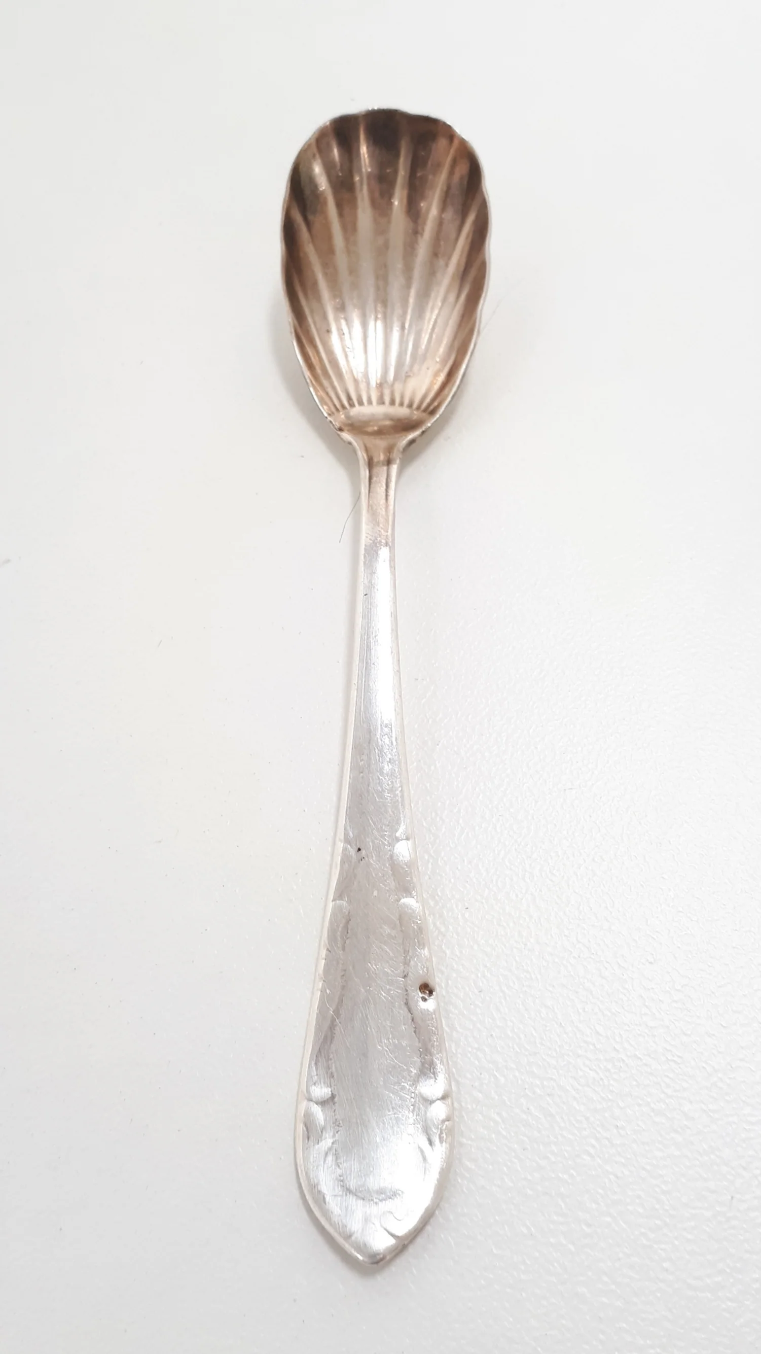 Antique Shell Shaped Sugar Spoon - Image 3