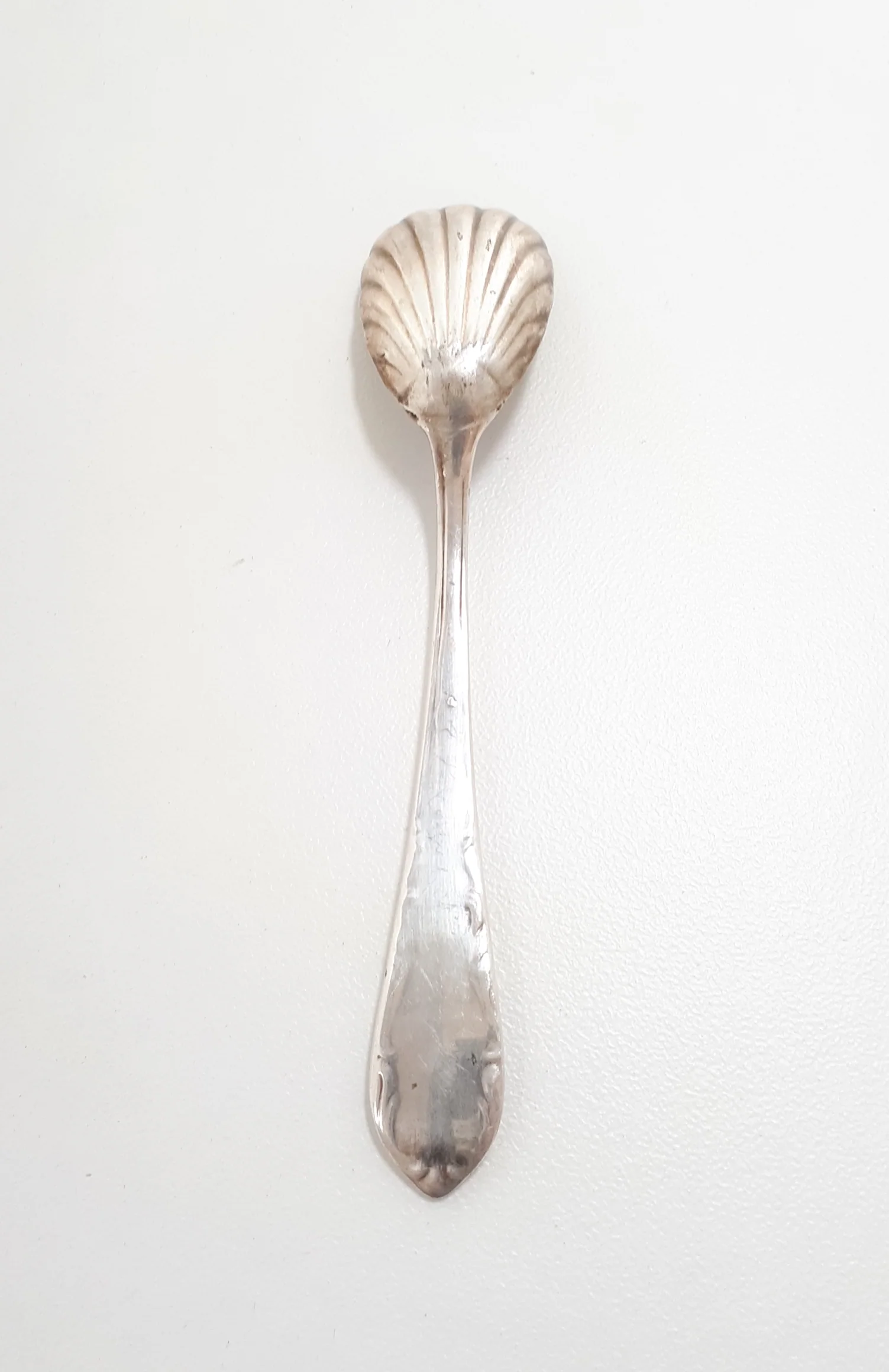 Antique Shell Shaped Sugar Spoon - Image 4