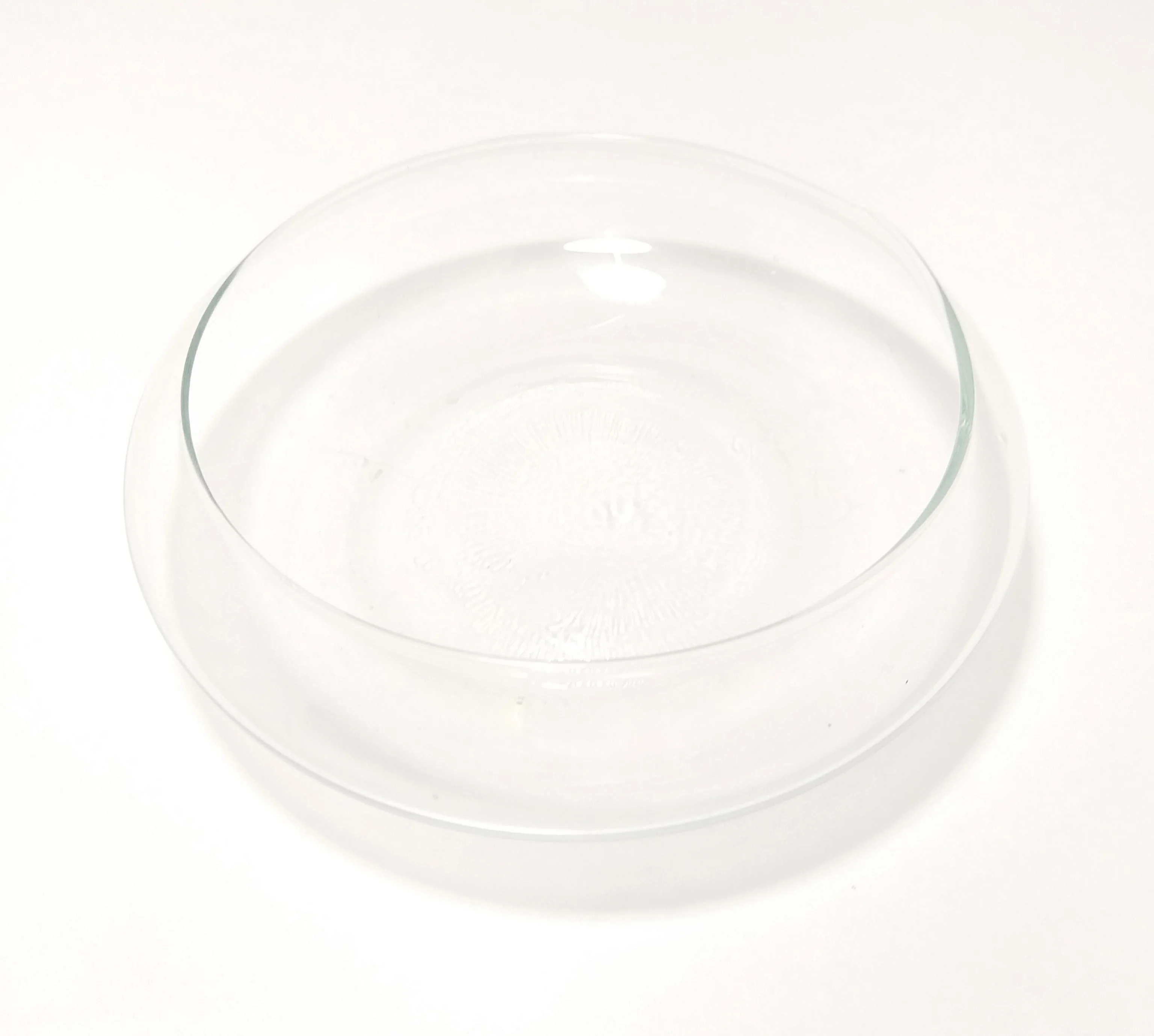 Contemporary & Decorative Flat Clear Glass Terrarium Bowl - Image 2