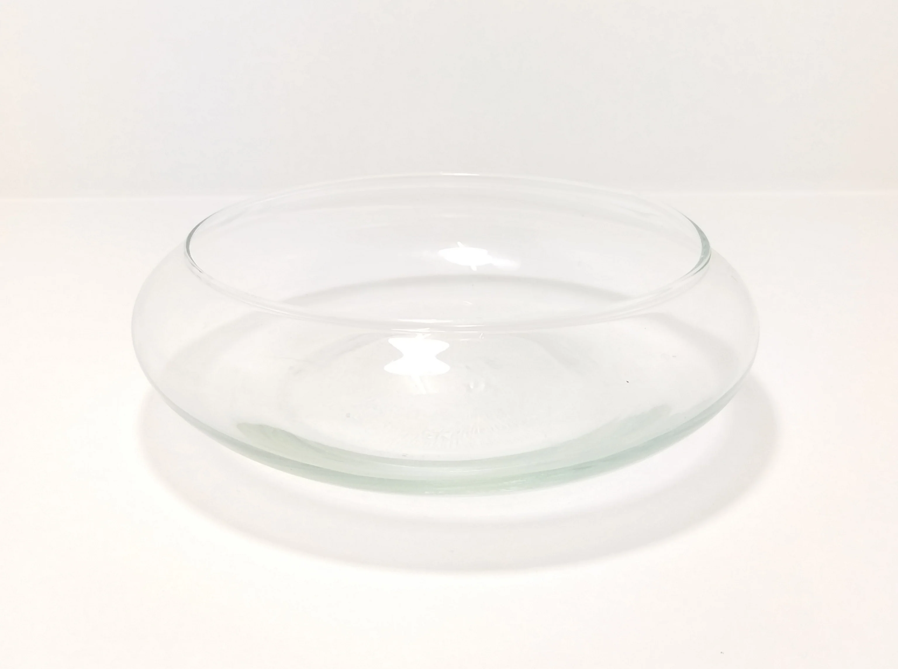 Contemporary & Decorative Flat Clear Glass Terrarium Bowl - Image 6