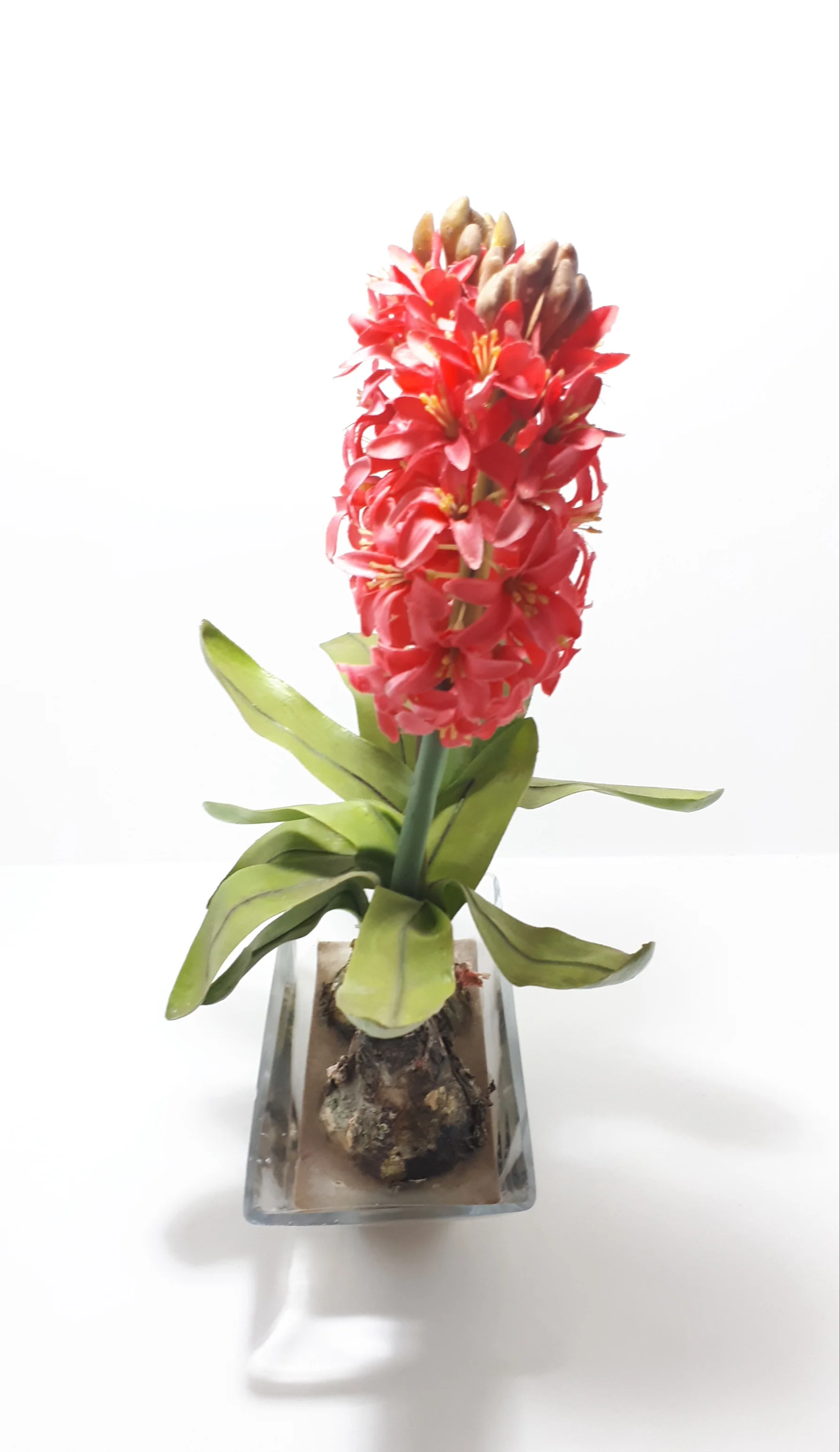 Decorative Faux Aloes Ornament – Textile Petals, Composite Stems, Leaves & Bulbs In Glass Pot - Image 3
