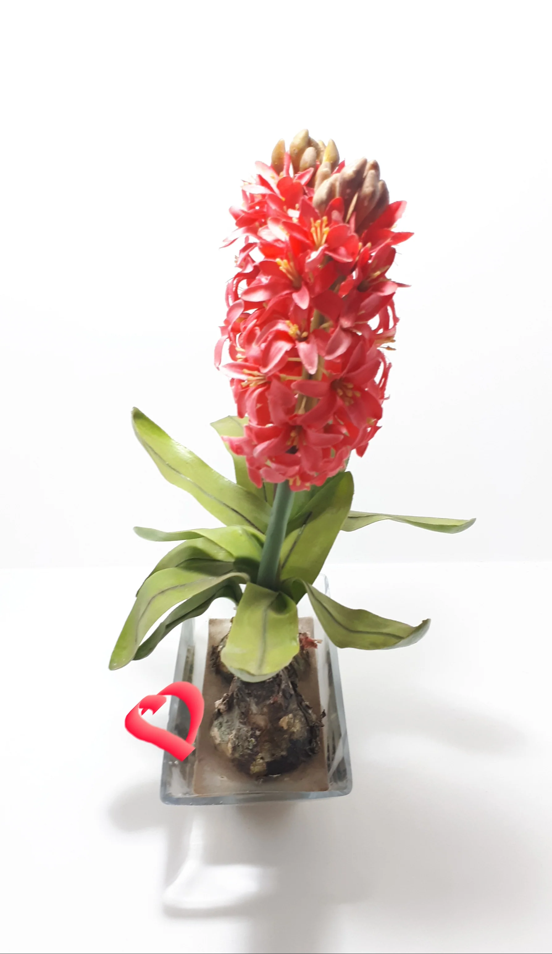 Decorative Faux Aloes Ornament – Textile Petals, Composite Stems, Leaves & Bulbs In Glass Pot - Image 4