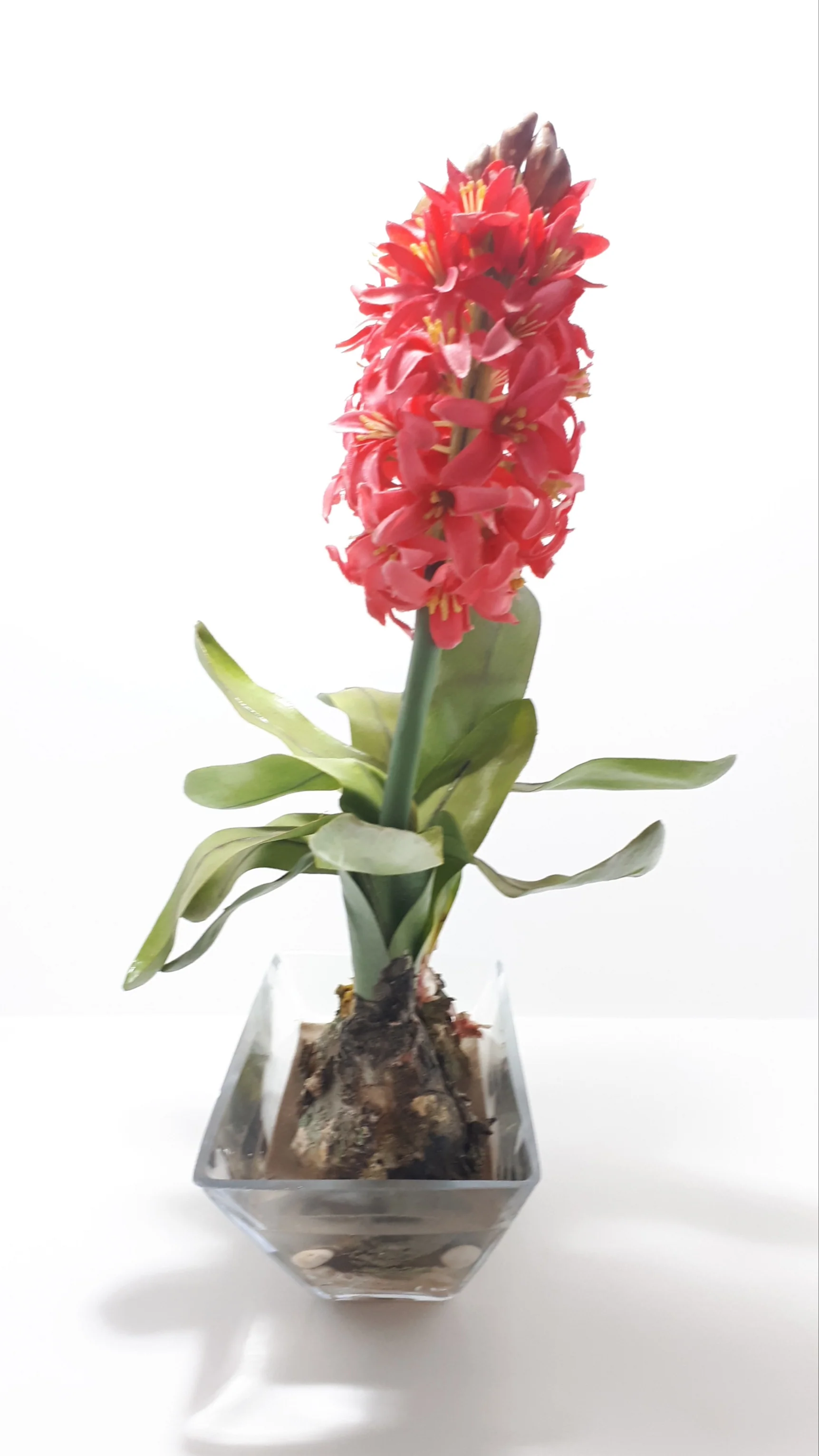 Decorative Faux Aloes Ornament – Textile Petals, Composite Stems, Leaves & Bulbs In Glass Pot - Image 5
