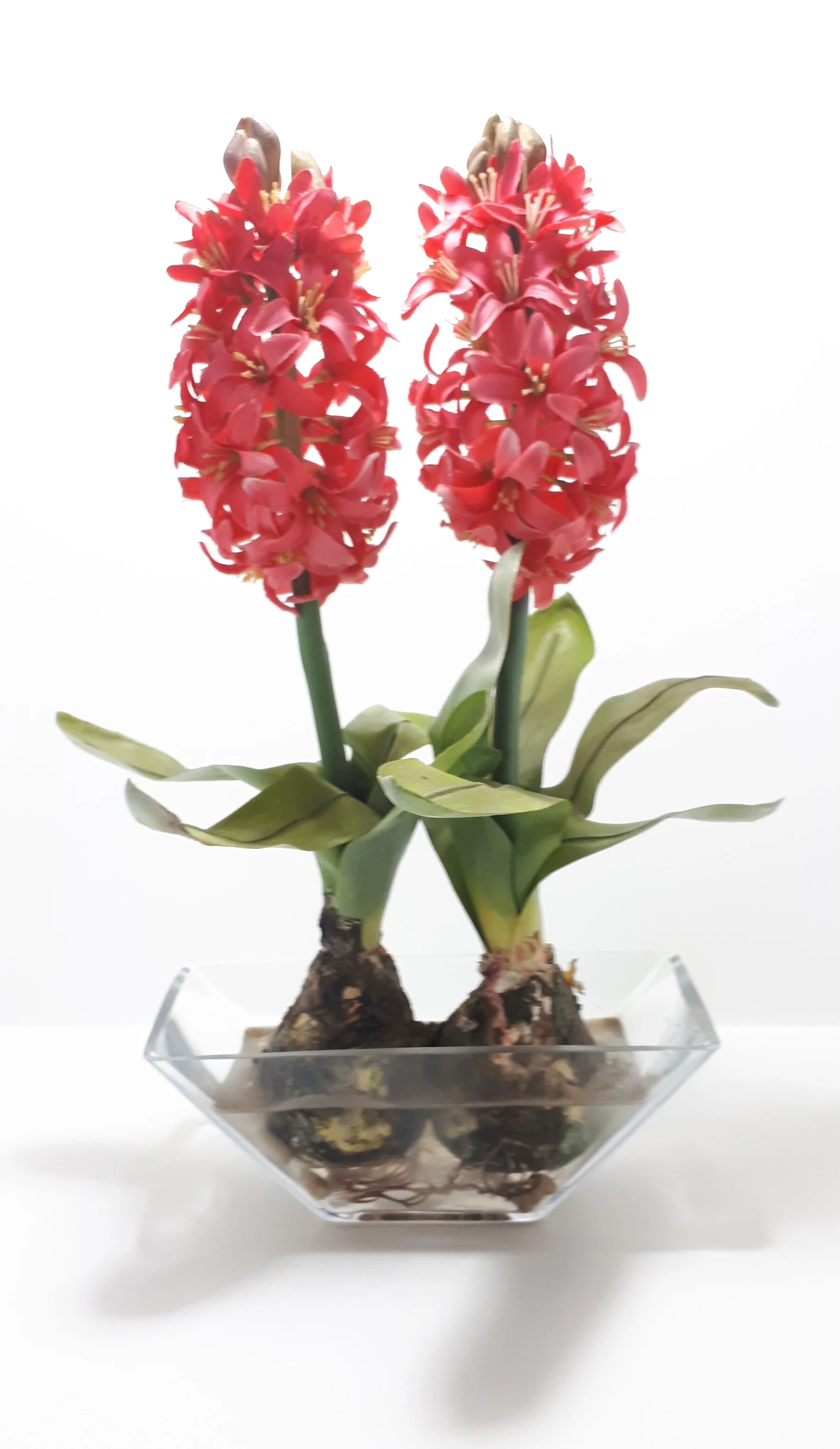 Decorative Faux Aloes Ornament – Textile Petals, Composite Stems, Leaves & Bulbs In Glass Pot - Image 6