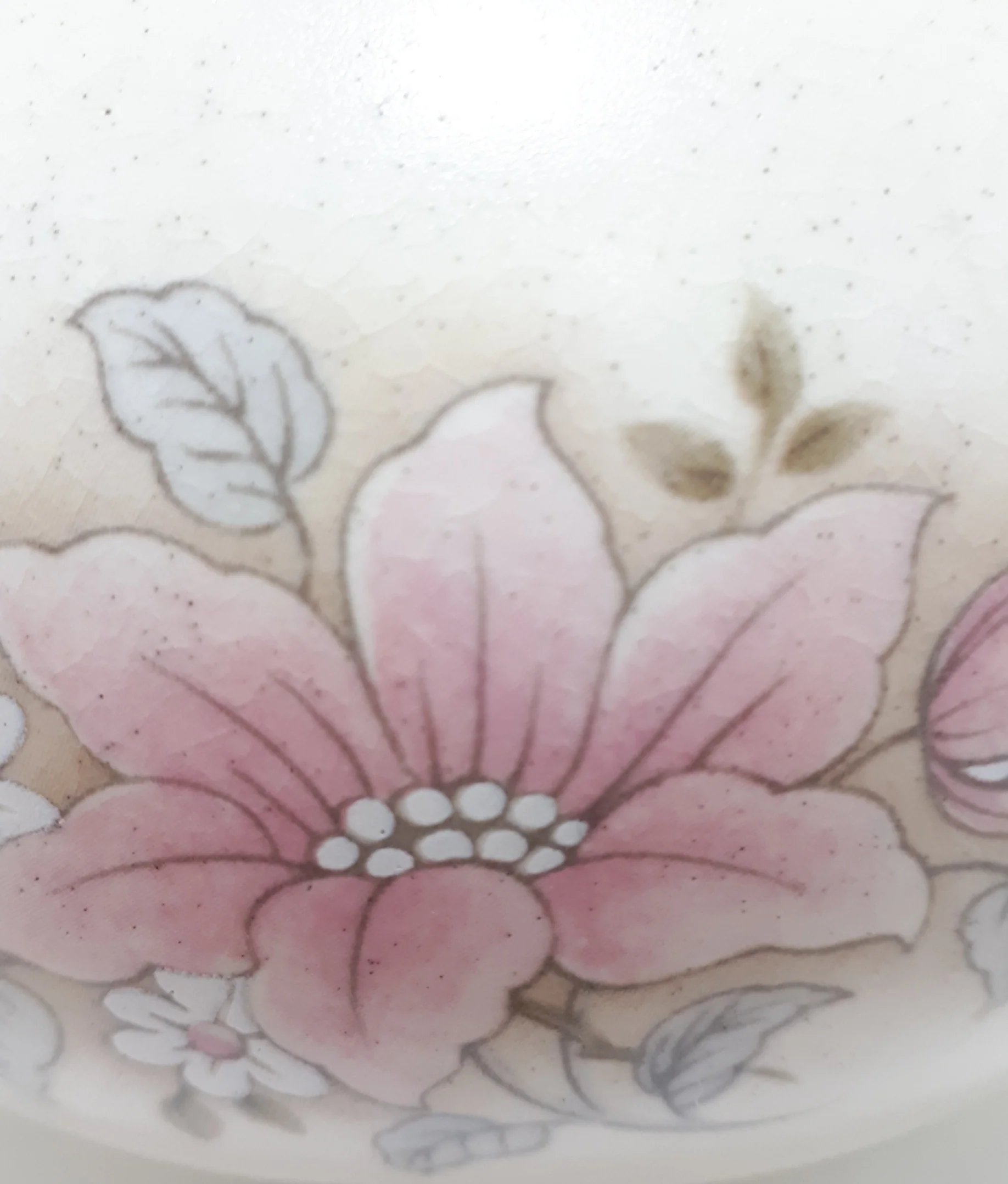 Pristine Condition Contemporary Ceramic Decorative Jug Vase – Wild Rose Pattern - Image 4