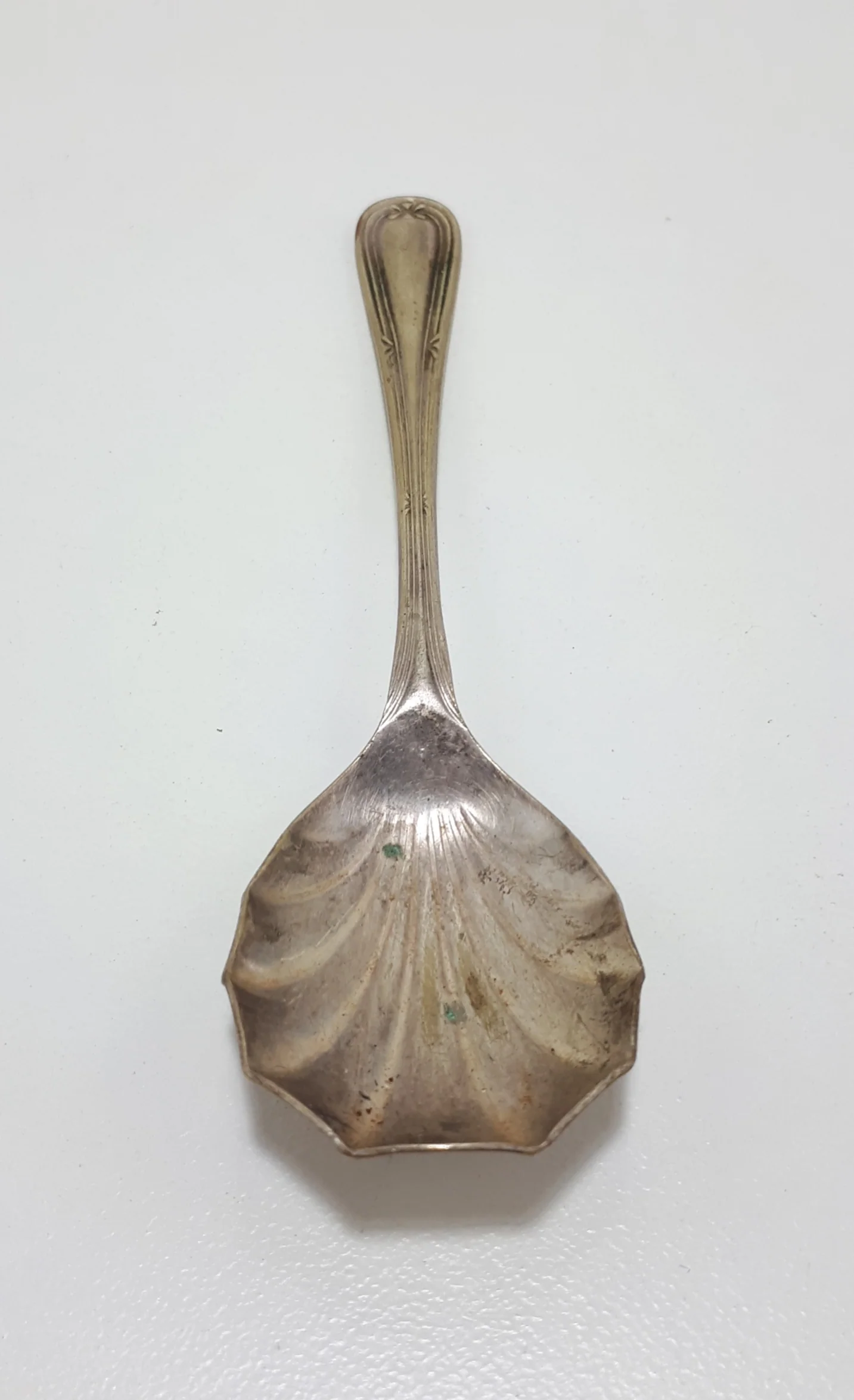Silver Plated Shell Shaped Dessert Spoon - Image 2