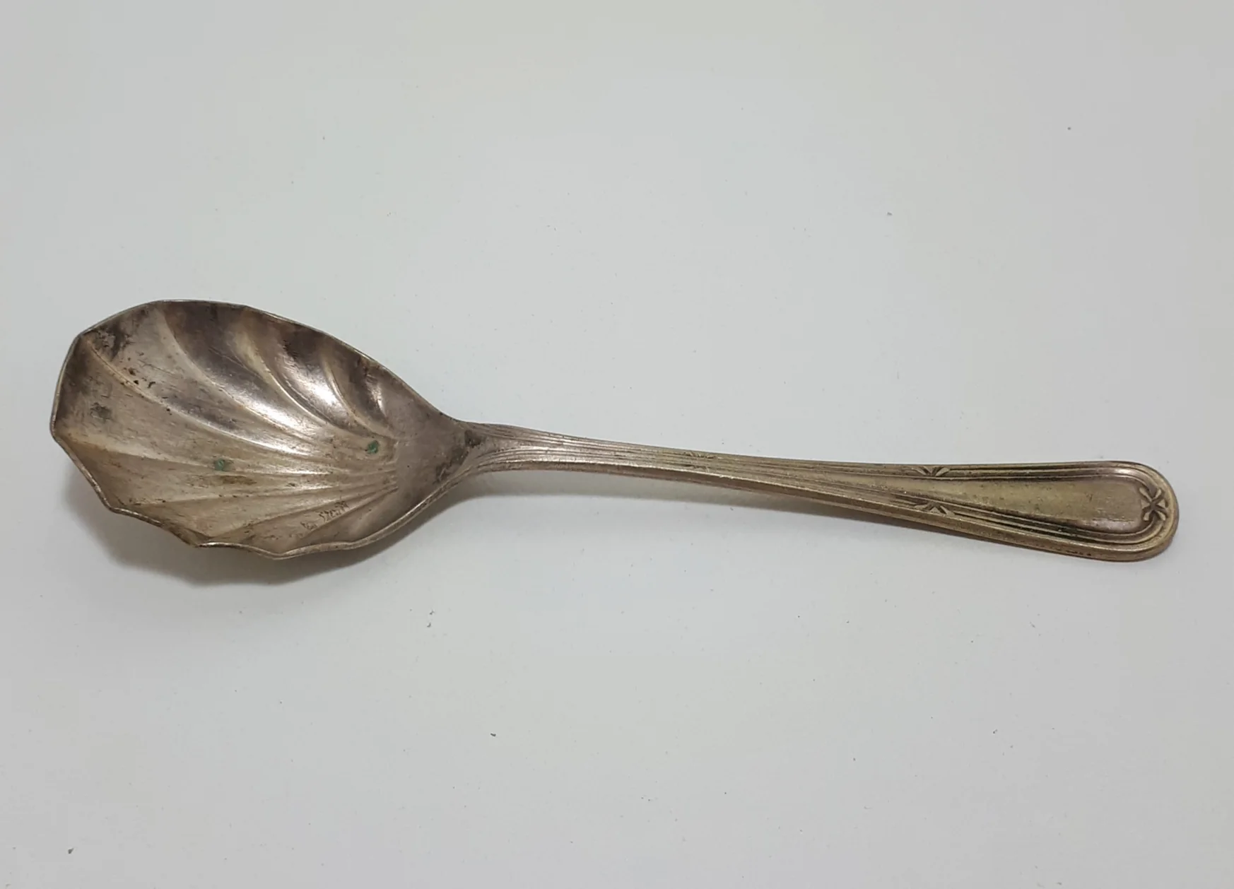 Silver Plated Shell Shaped Dessert Spoon - Image 3